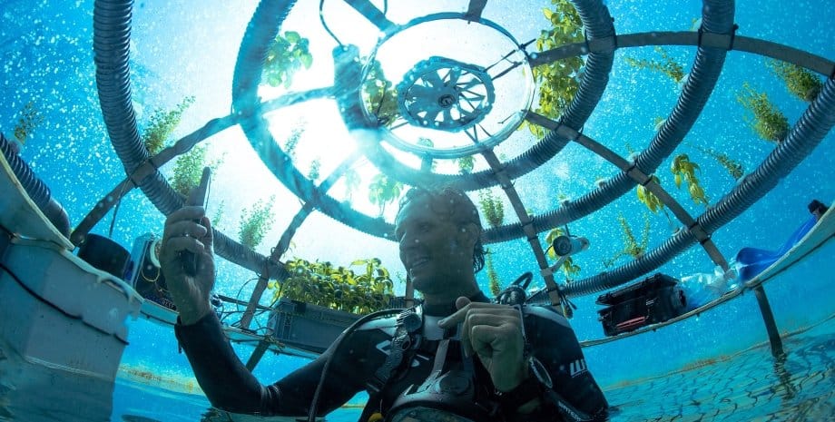 Ученые научились выращивать овощи на дне моря