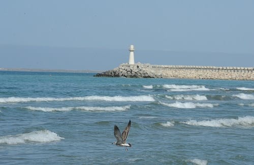 В Ашхабаде пройдёт семинар «Каспийское море – устойчивое развитие и управление»