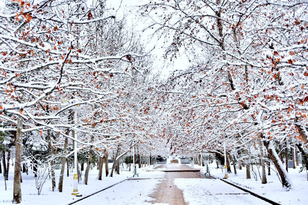 Türkmenistanda milli senenama boýunça uly çille başlanýar