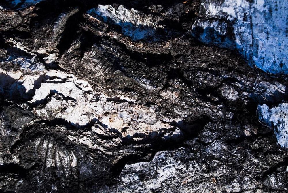 Какого вида мумиё можно встретить в Туркменистане 