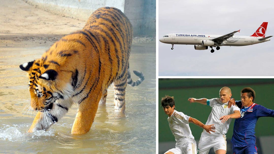 Aşgabatdaky Janly tebigatyň muzeýi myhmanlar üçin açyldy, Turkish Airlines Türkmenistandan çarter uçuşynyň senesini yglan etdi, maýyň ahyrynda Tailand—Türkmenistan futbol duşuşygy geçirilip bilner we beýleki täzelikler