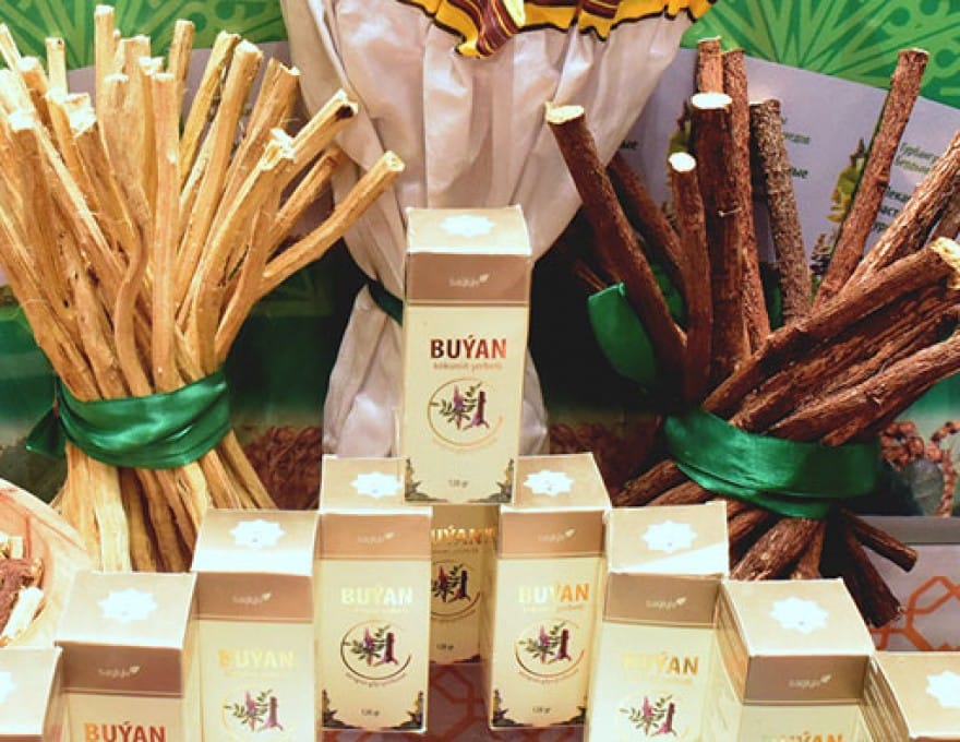 В марте в Туркменистане приступят к сбору солодкового корня