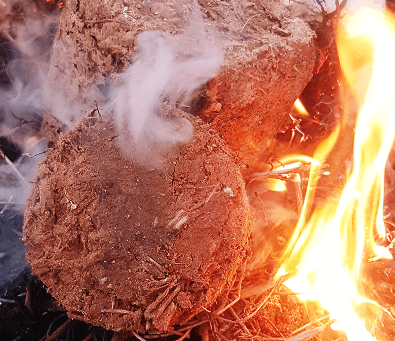 Türkmenistan'da asma bazlı yakıt briketleri geliştirildi