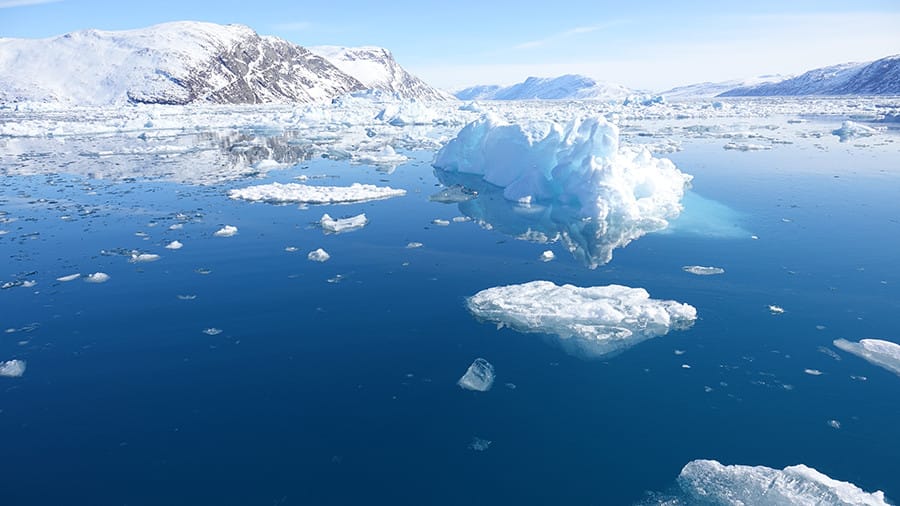 Arktikanyň buzluklary iki esse ýukaldy