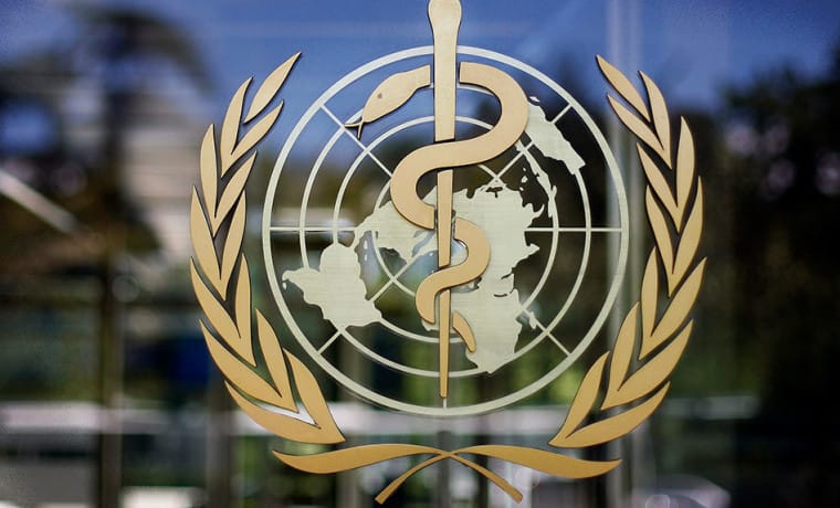 BSGG: Maýmyn mamasy dünýä möçberinde adatdan daşary ýagdaý däl