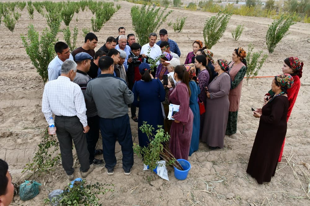 В Дашогузском велаяте проведен практический тренинг для фермеров