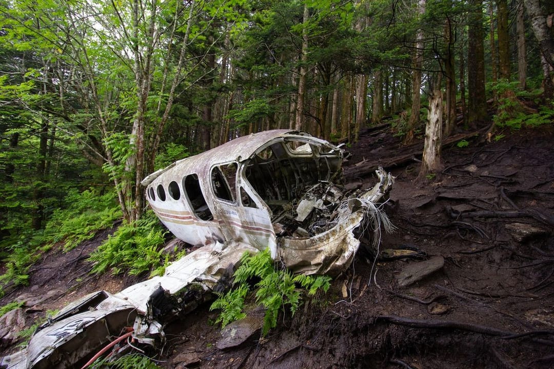 В Колумбии нашли четырех детей – пассажиров потерпевшего 40 дней назад крушение самолета