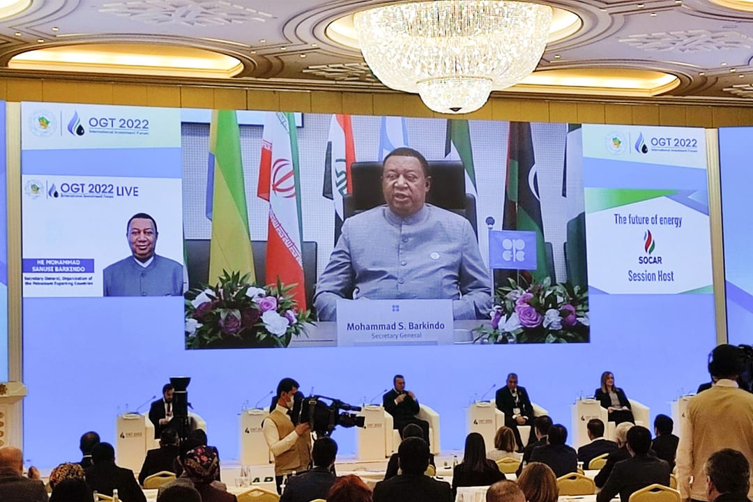 OPEC Secretary General: "Hydrocarbon resources will remain the main fuel until 2045"