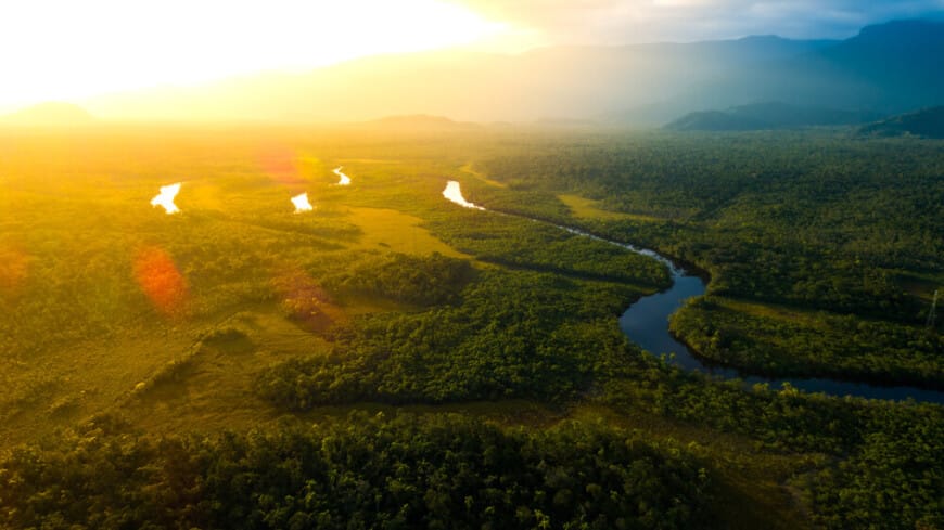 Ekwadoryň ýitip barýan tokaýlarynda ylma nämälim bolan ösümlik tapyldy
