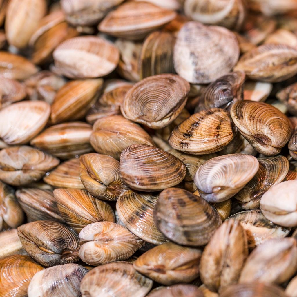 An American woman received a fine of 88 thousand USD for her children collecting shellfish on the beach