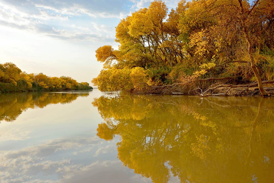 Объявлен конкурс на лучшую статью о красоте туркменской природы