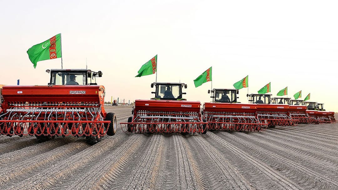 В восточном регионе Туркменистана завершили сев пшеницы