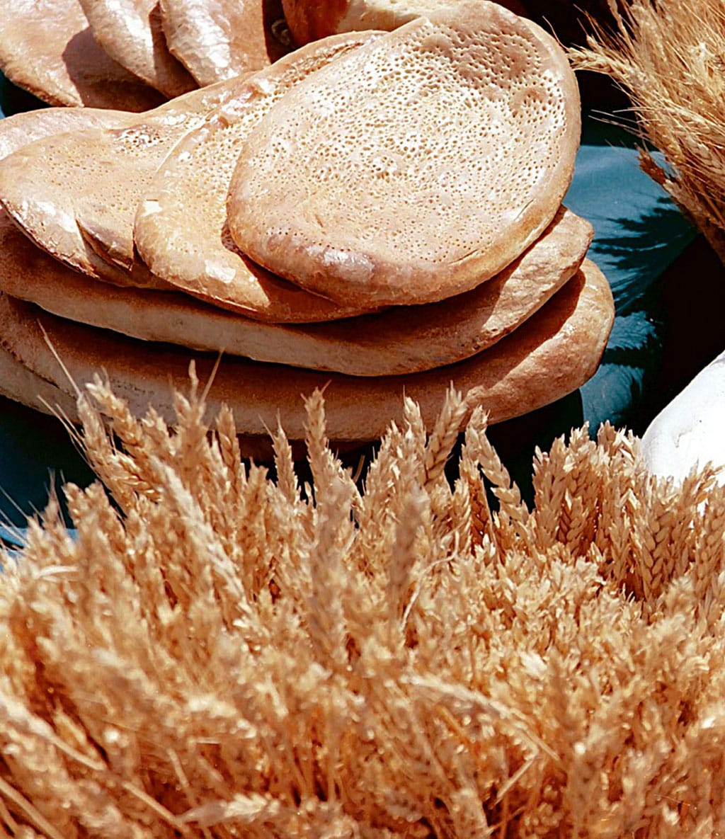 Туркменские земледельцы выполнили  план по заготовке пшеницы