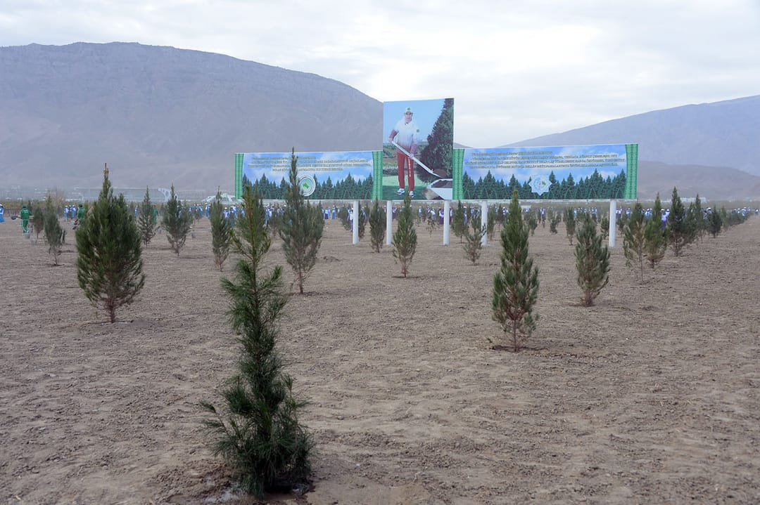 В Туркменистане прошла всенародная озеленительная акция