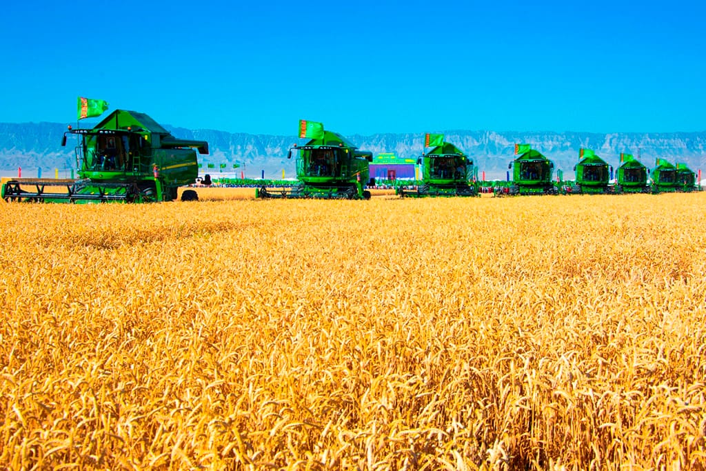 В Туркменистане стартовала жатва хлебов