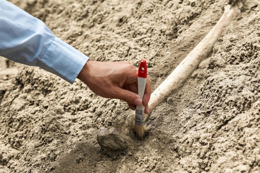 Доспехи возрастом 2700 лет обнаружены в Китае