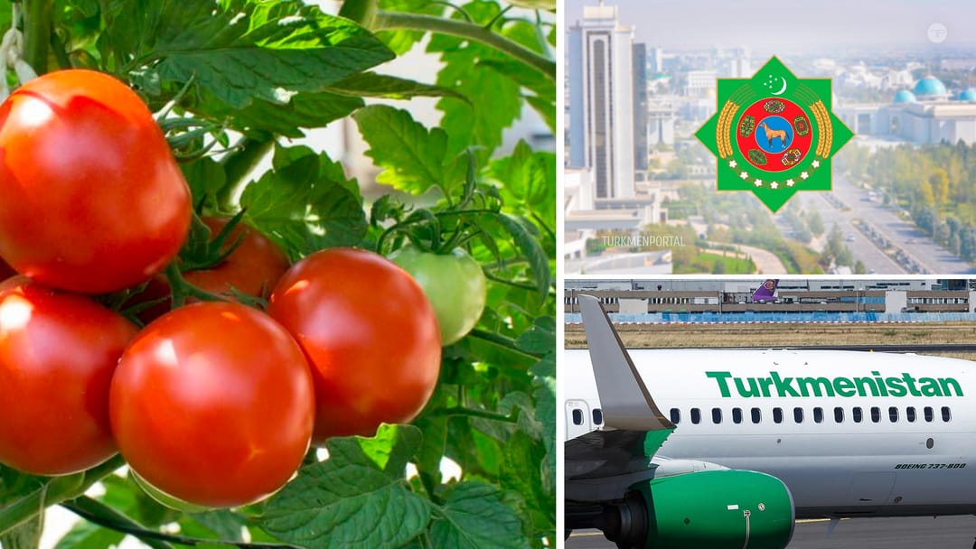308 convicts pardoned in Turkmenistan, “Turkmenistan” Airlines reduced the cost of tickets for international flights, 18 tons of fresh tomatoes were sent to Russia from Turkmenistan and other news
