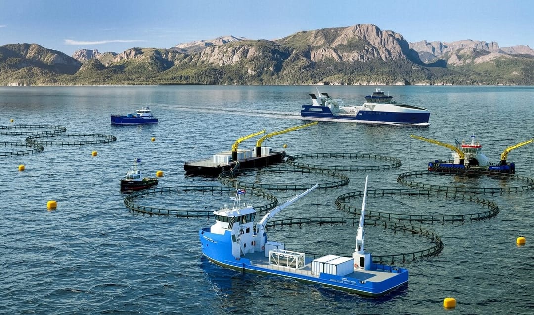 Туркменистан принял участие в вебинаре по рыболовству и аквакультуре