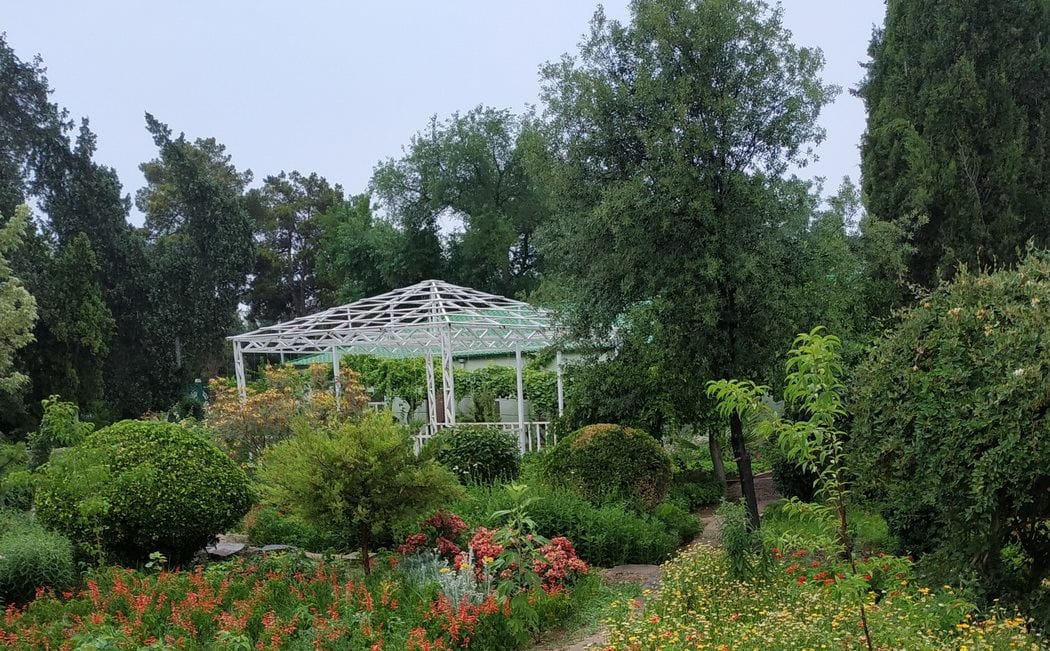 В начале июля в Туркменистане ожидается температура до +36° и прохладные ночи