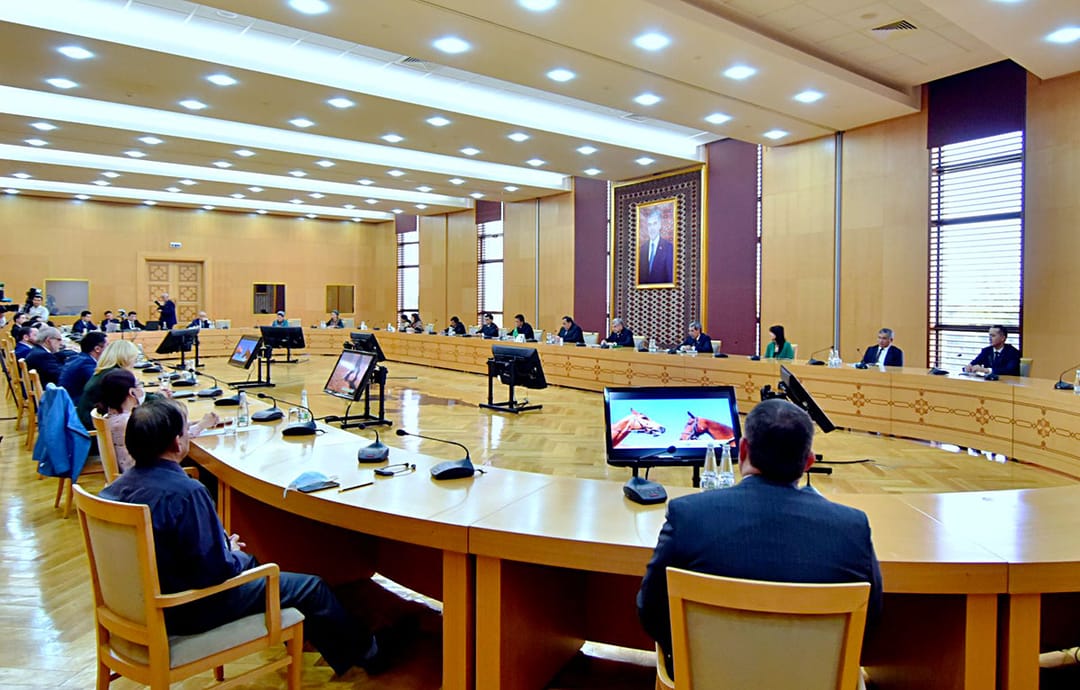 Состоялся брифинг по международным ассоциациям ахалтекинского коневодства и «Туркменские алабаи»