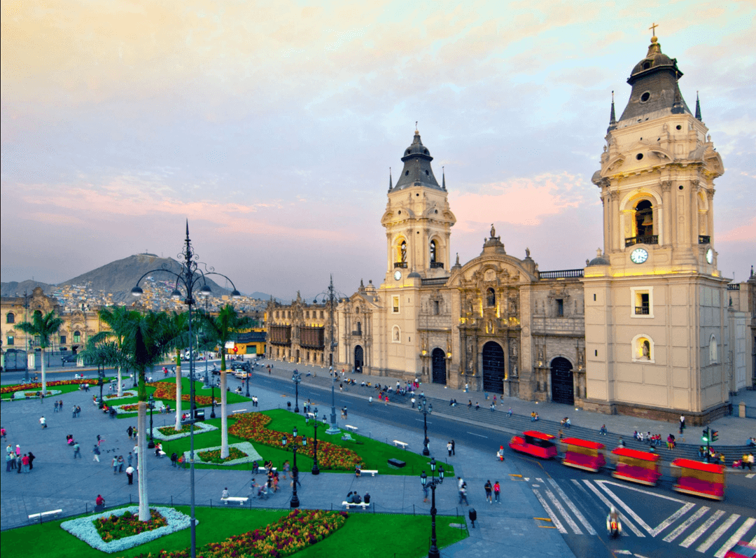 Peru maýmyn mamasy sebäpli sanitar ynjalyksyzlanma yglan etdi