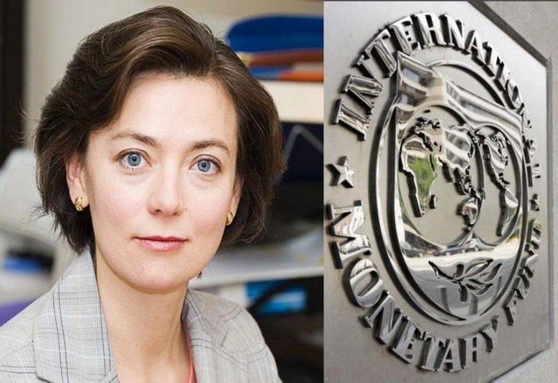 An IMF expert held a video lecture for future Turkmen international experts and economists