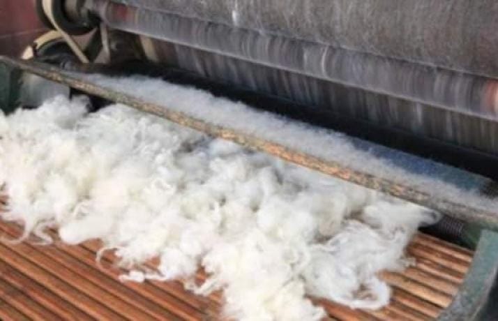 Aşgabatda ýüňi gaýtadan işleýän toplumy gurmak boýunça halkara bäsleşigi yglan edildi