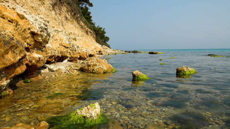 The Coast of Anapa Sea turned red