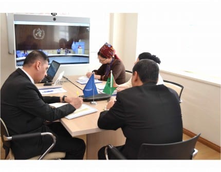 Turkmenistan took part in the meeting of the world health Assembly