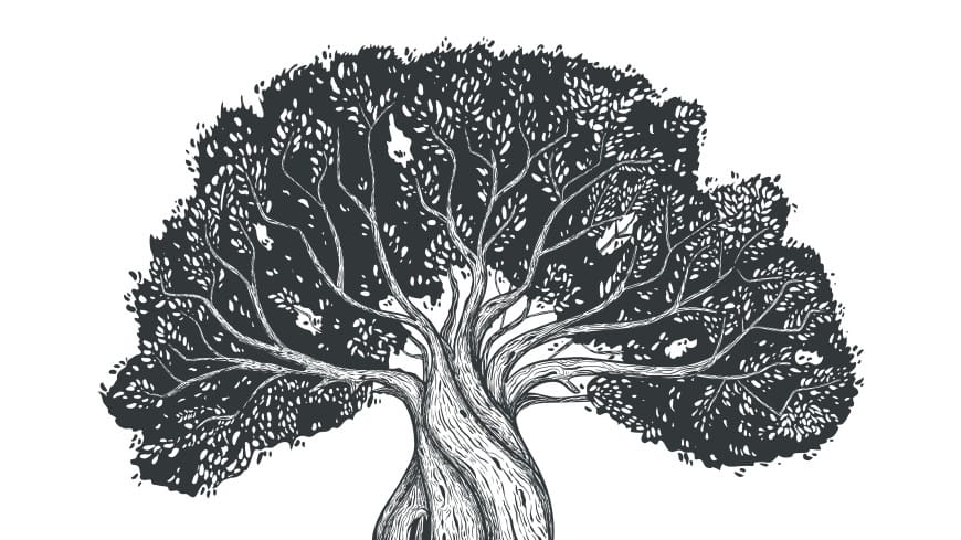 Ученые воссоздали самое крупное генеалогическое древо человечества