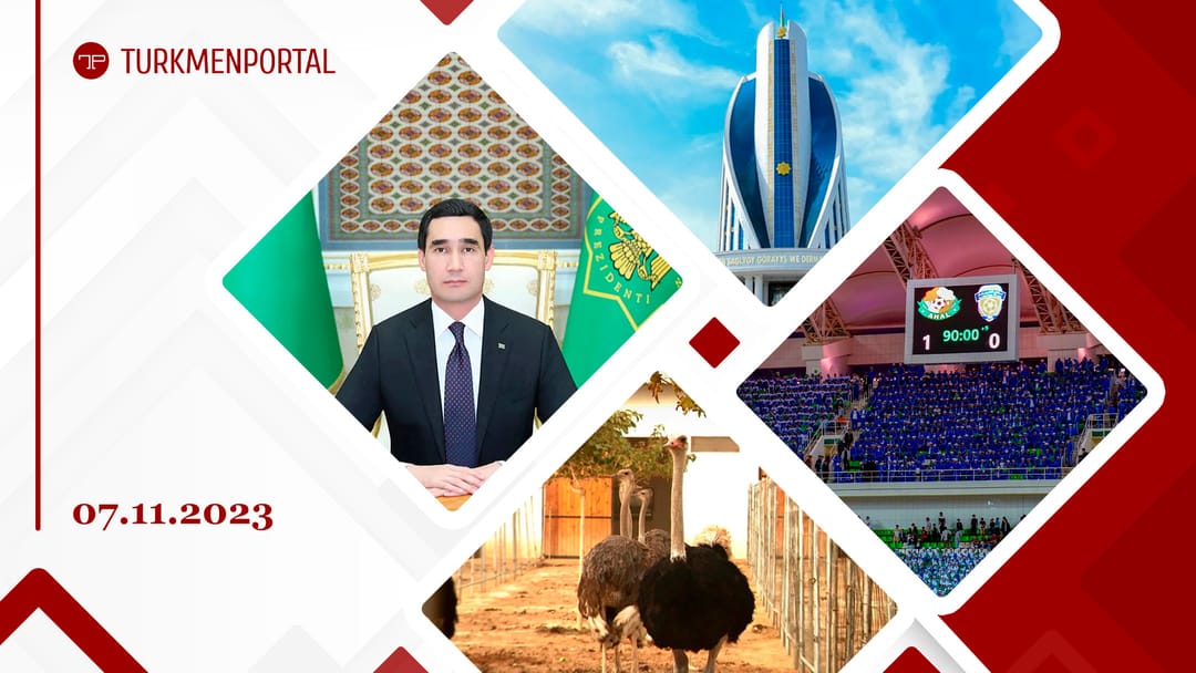 Türkmen telekeçileri düýeguşlary eksport etmegi meýilleşdirýärler, Türkmenistan wirusly gepatitiň B görnüşine garşy göreşmek boýunça maksatlary ýerine ýetirendigi hakynda BSGG-niň Güwänamasyna mynasyp boldy, Serdar Berdimuhamedow YHG-niň 16-njy sammitine 