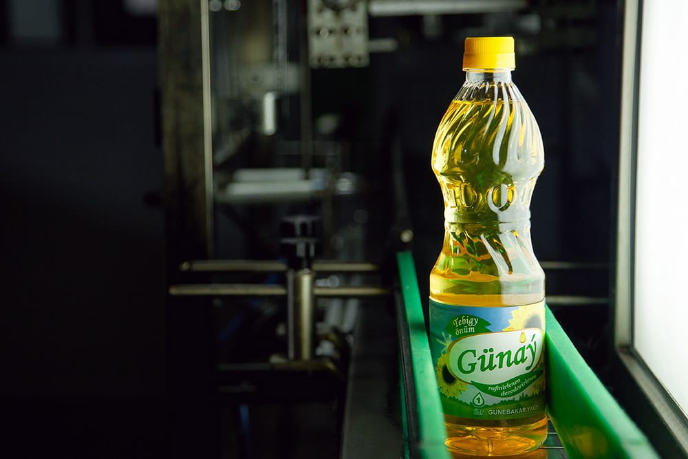 Türkmenistanda «Gündogar akymy» hojalyk jemgyýeti maýonez önümçiligine girişdi