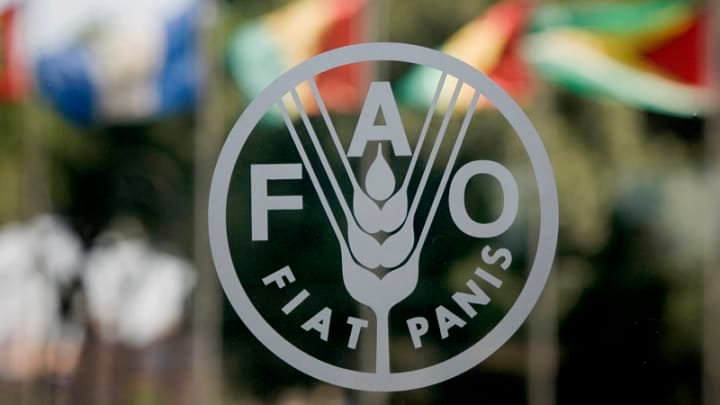 Туркменистан принимает участие в Региональной конференции FAO