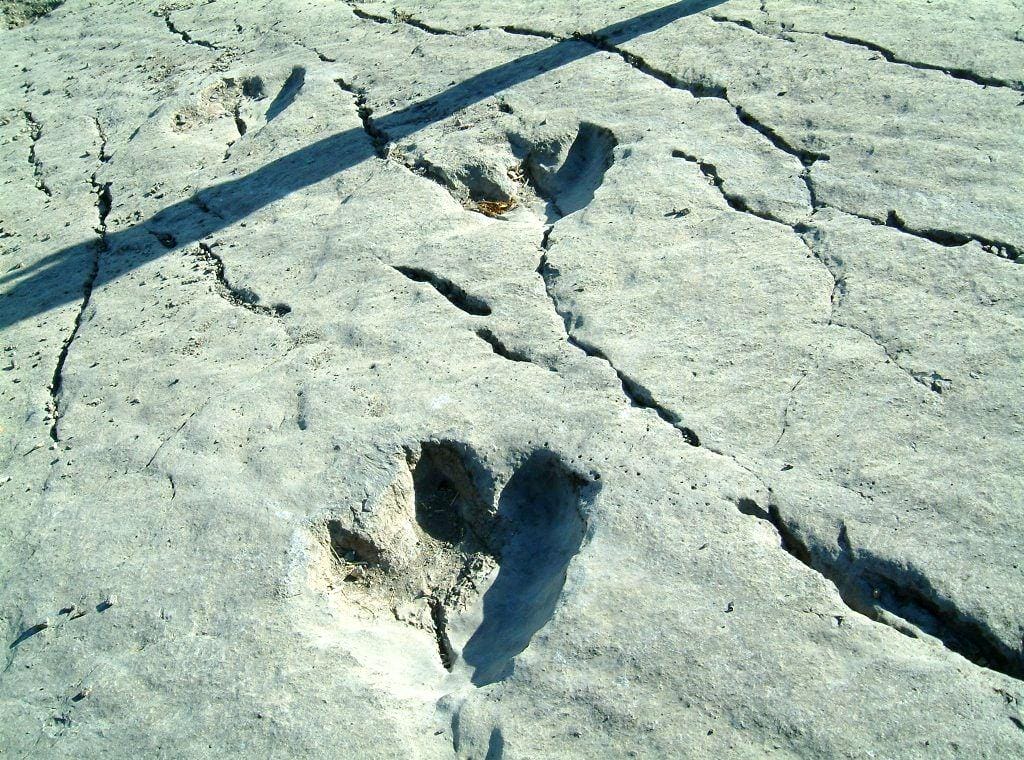 Вышел в свет сборник статей с новыми сведениями о Плато динозавров в Койтендаге  