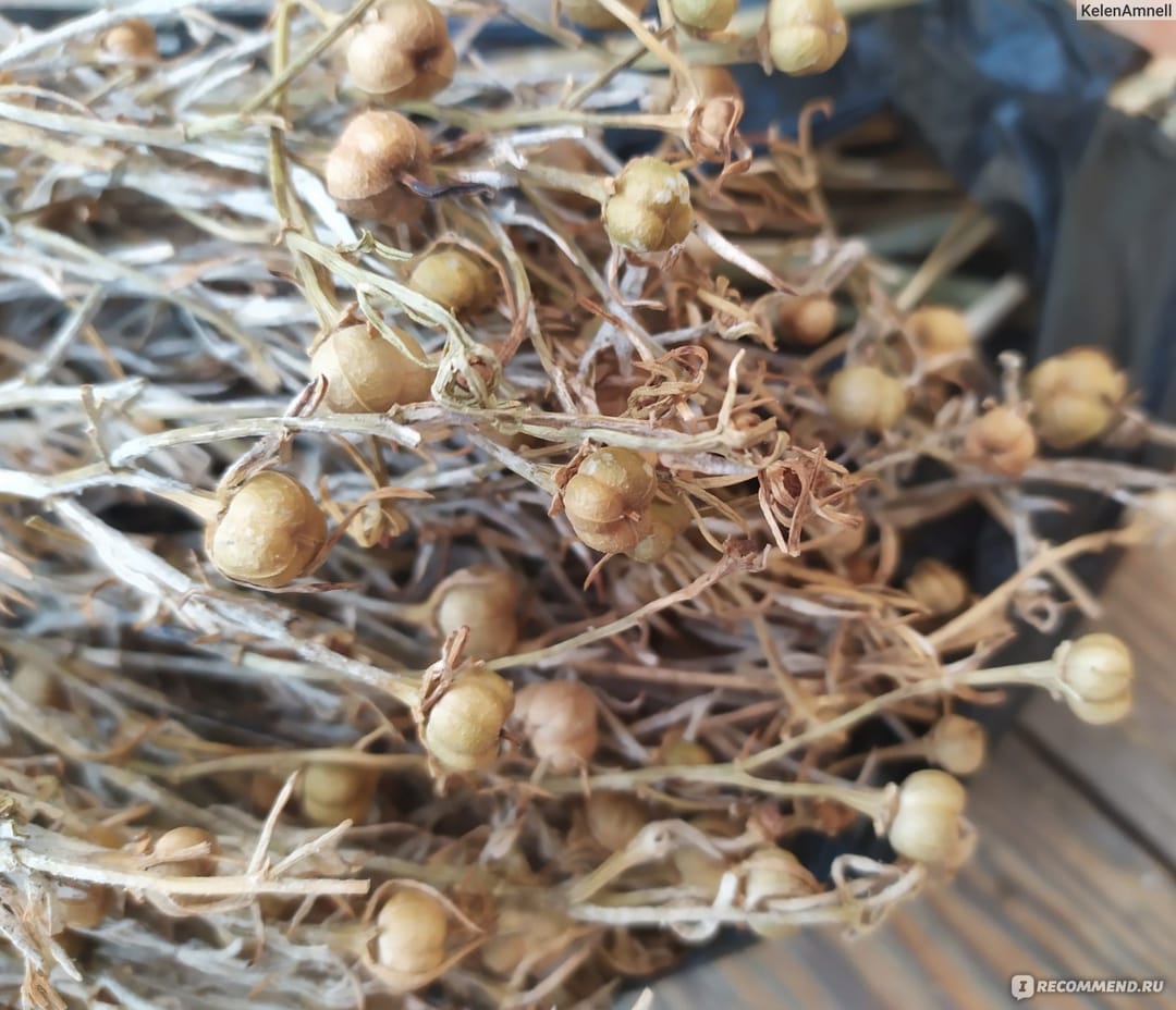  Туркменское предприятие «Тач хил» запускает новинку - мыло с гармалой обыкновенной