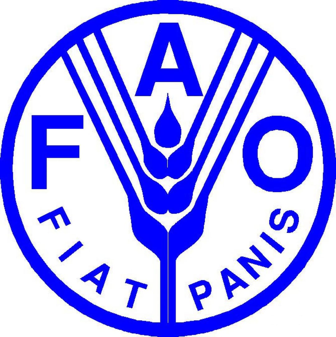 FAO организовала в Туркменистане веб-встречу по вопросам пищевой индустрии в условиях пандемии