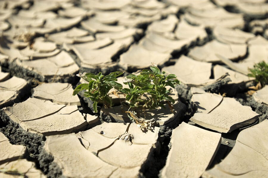 Alymlar yssy sebäpli ýaşaýyş üçin ýaramsyz boljak sebitleri agzadylar