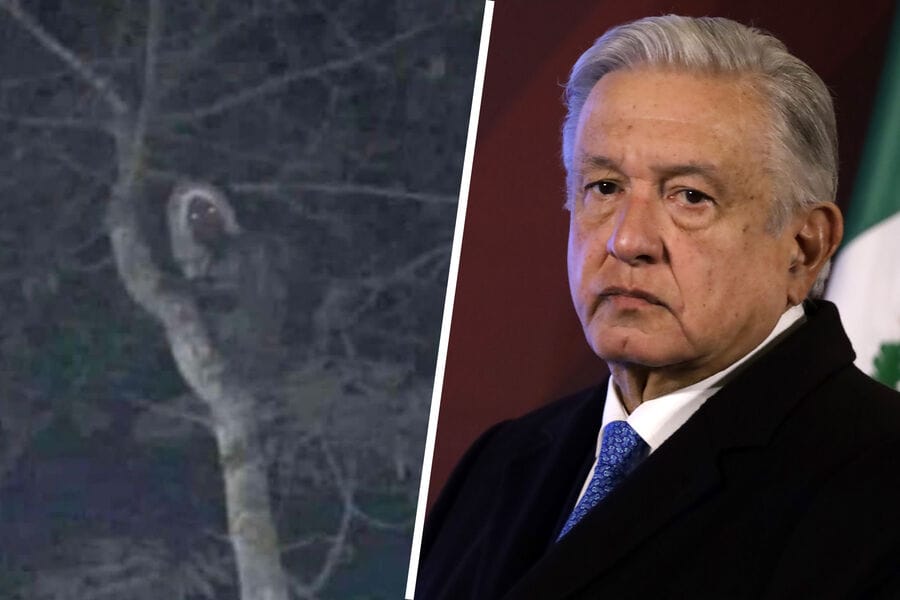 Meksikanyň Prezidenti tokaý elfiniň suratyny çap etdi