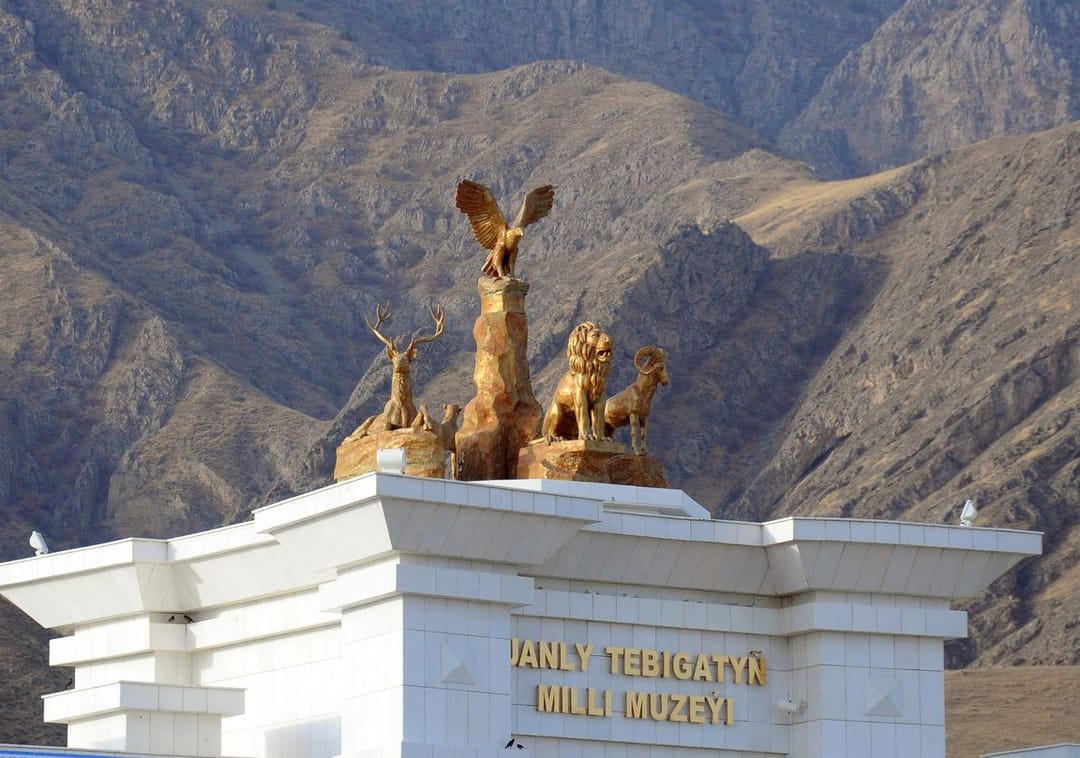 Aşgabadyň haýwanat bagy gaýtadan işe başlady
