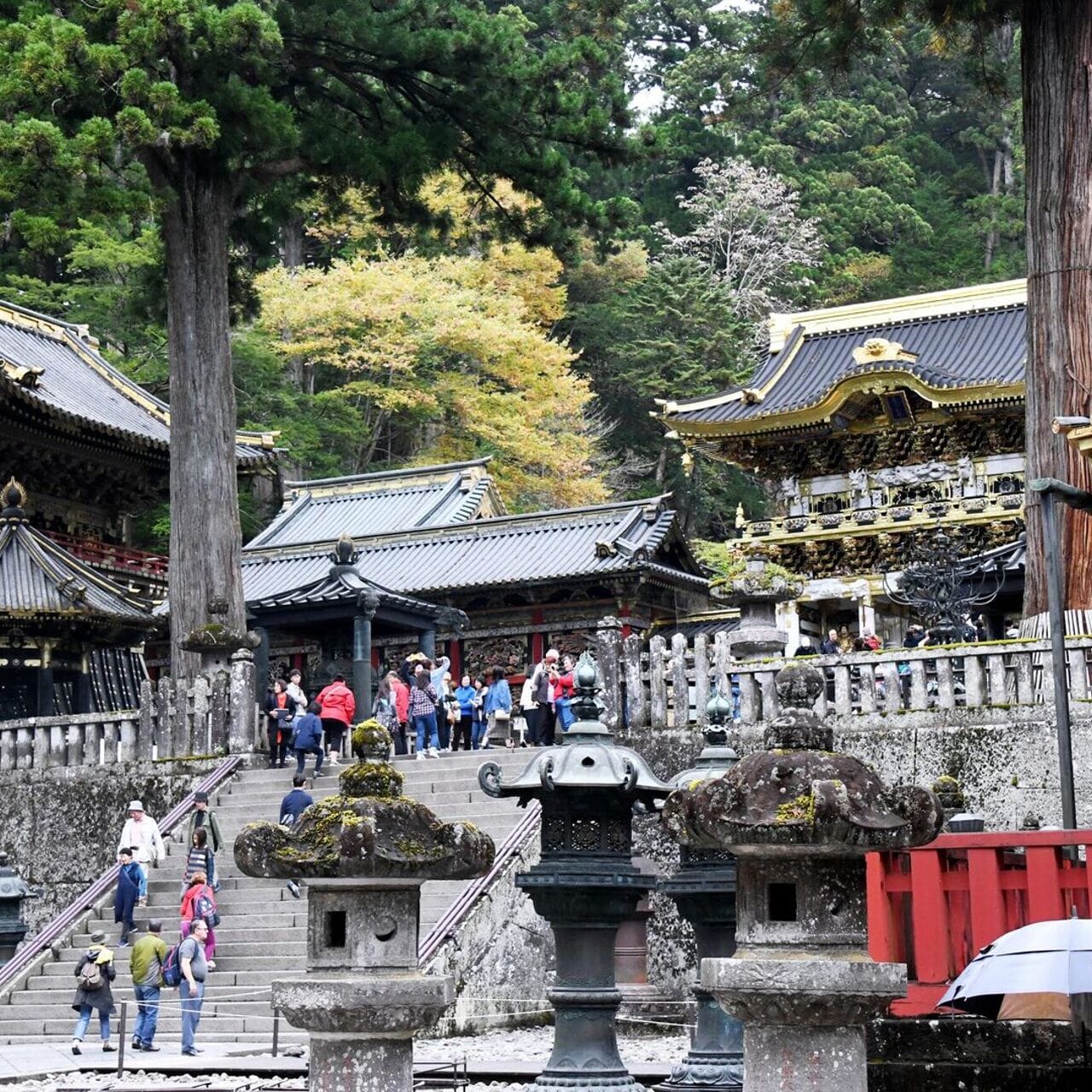 В Японии появился отель с необычными номерами