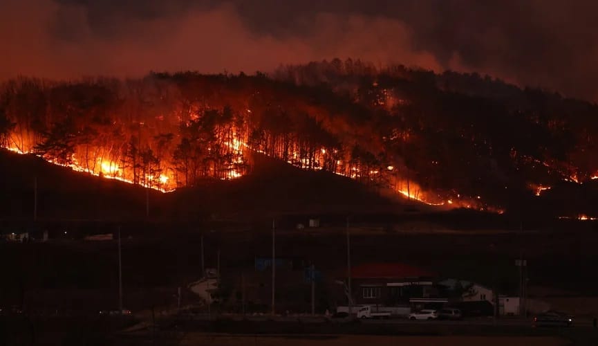 В Южной Корее лесные пожары унесли жизни 18 человек