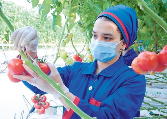 Türkmenistanda bäş ýylda täze iş orunlarynyň 111 müňe golaýy döredildi