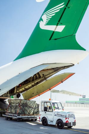 В аэропортах Туркменистана запущена новая услуга отправки грузов