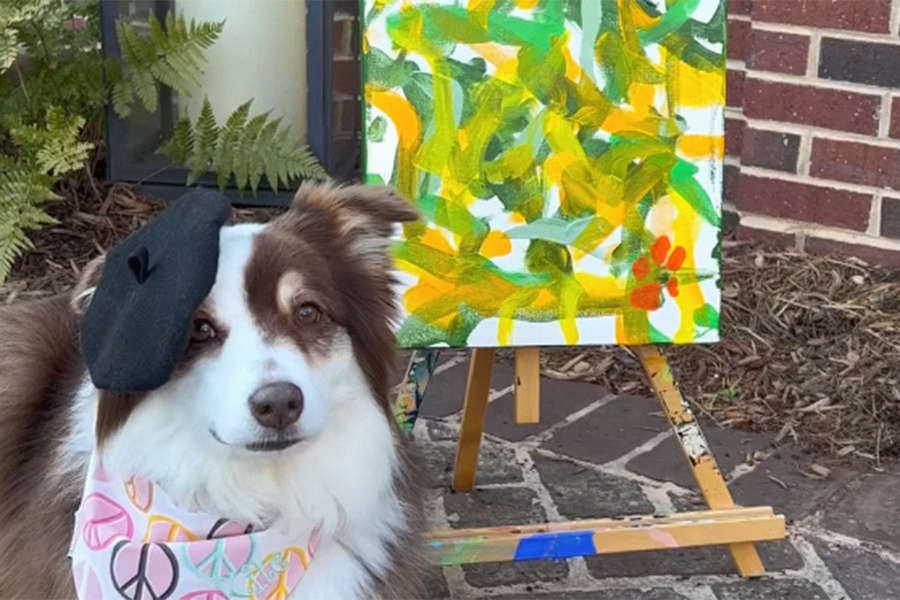 Itiniň çekýän suratlaryny satyp gazanç edýär