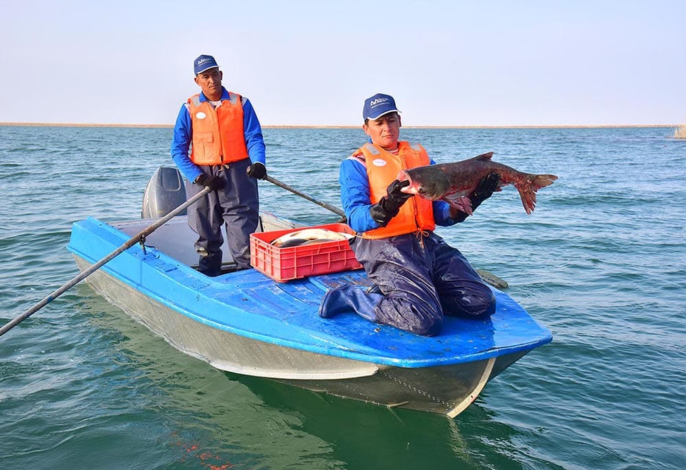 Ahal welaýatynda balyk tutmaklyga çäklendirme girizildi