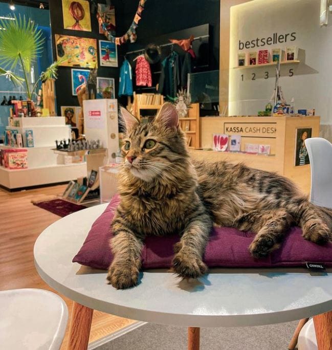 В ашхабадском книжном магазине появился необычный сотрудник