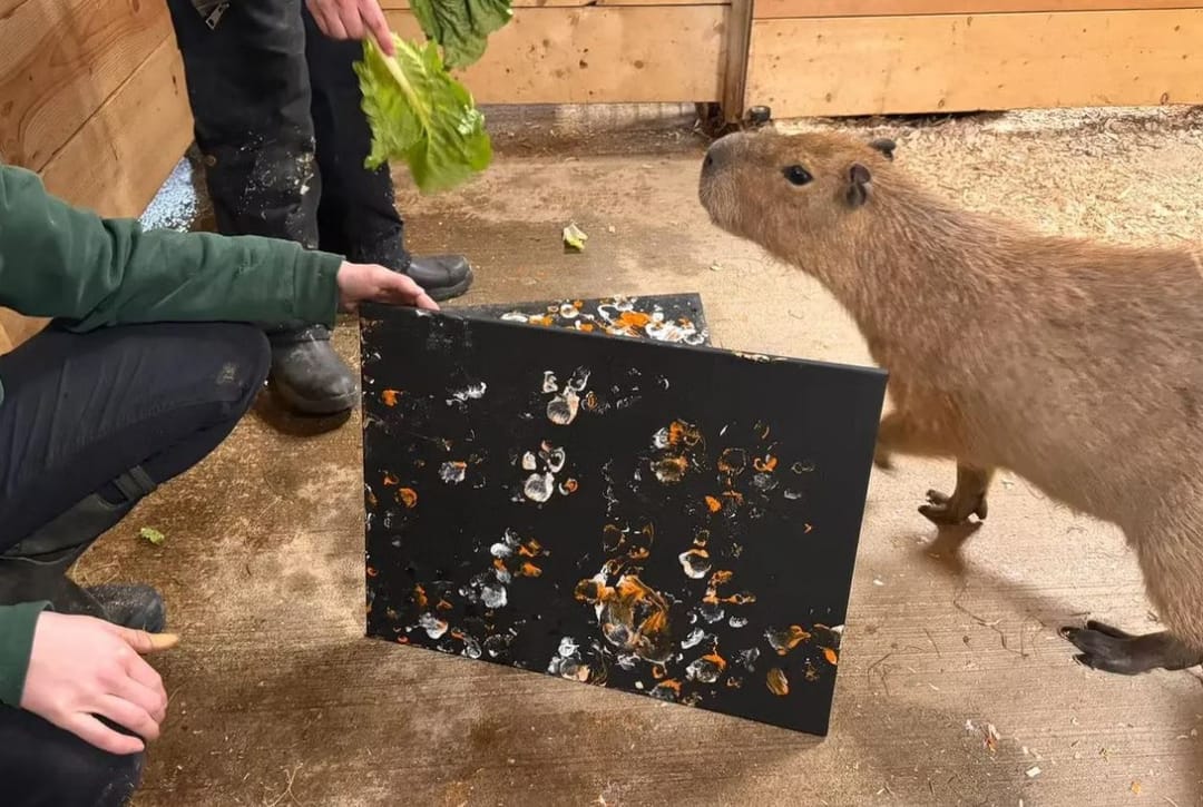 В Нью-Йоркском зоопарке пройдет аукцион картин, нарисованных животными