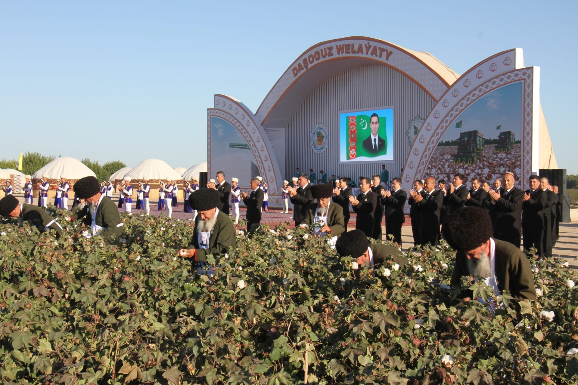 В Туркменистане к сбору хлопка подключился Дашогузский велаят