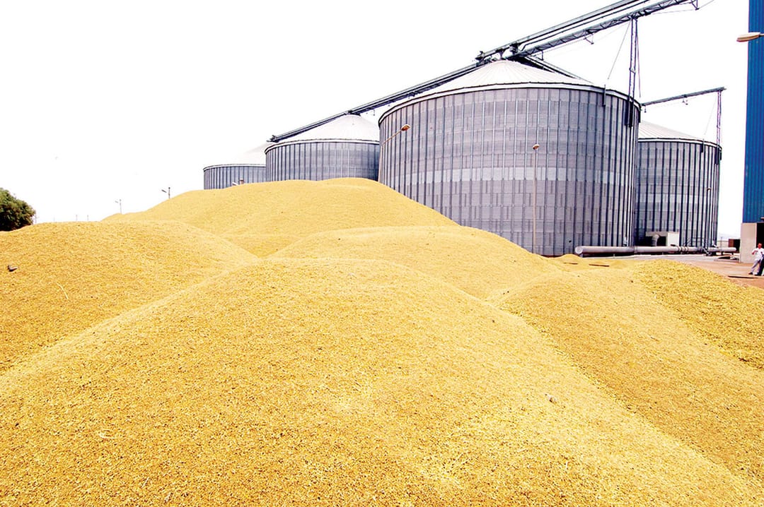 Частный сектор Дашогузского велаята осваивает земельные участки, переданные из земельного фонда 