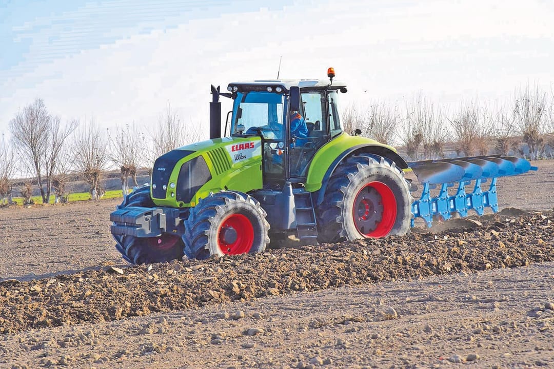 На севере Туркменистана успешно завершена посадка лука, картофеля и капусты